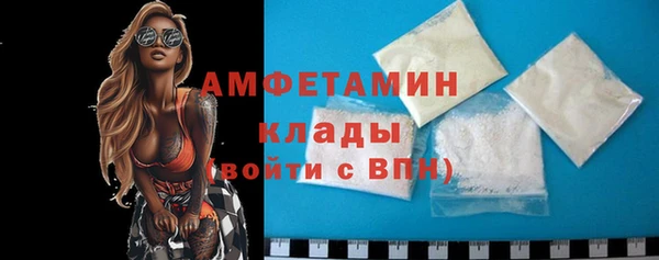 apvp Гусев