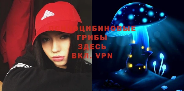 стафф Гусь-Хрустальный