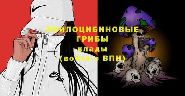 apvp Гусев