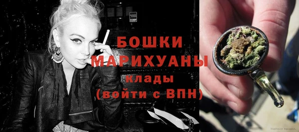 apvp Гусев