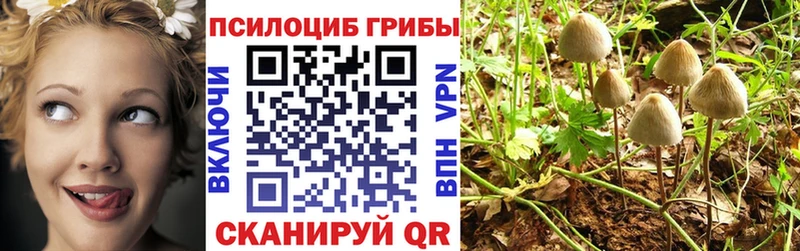 купить наркоту  Демидов  Псилоцибиновые грибы GOLDEN TEACHER 